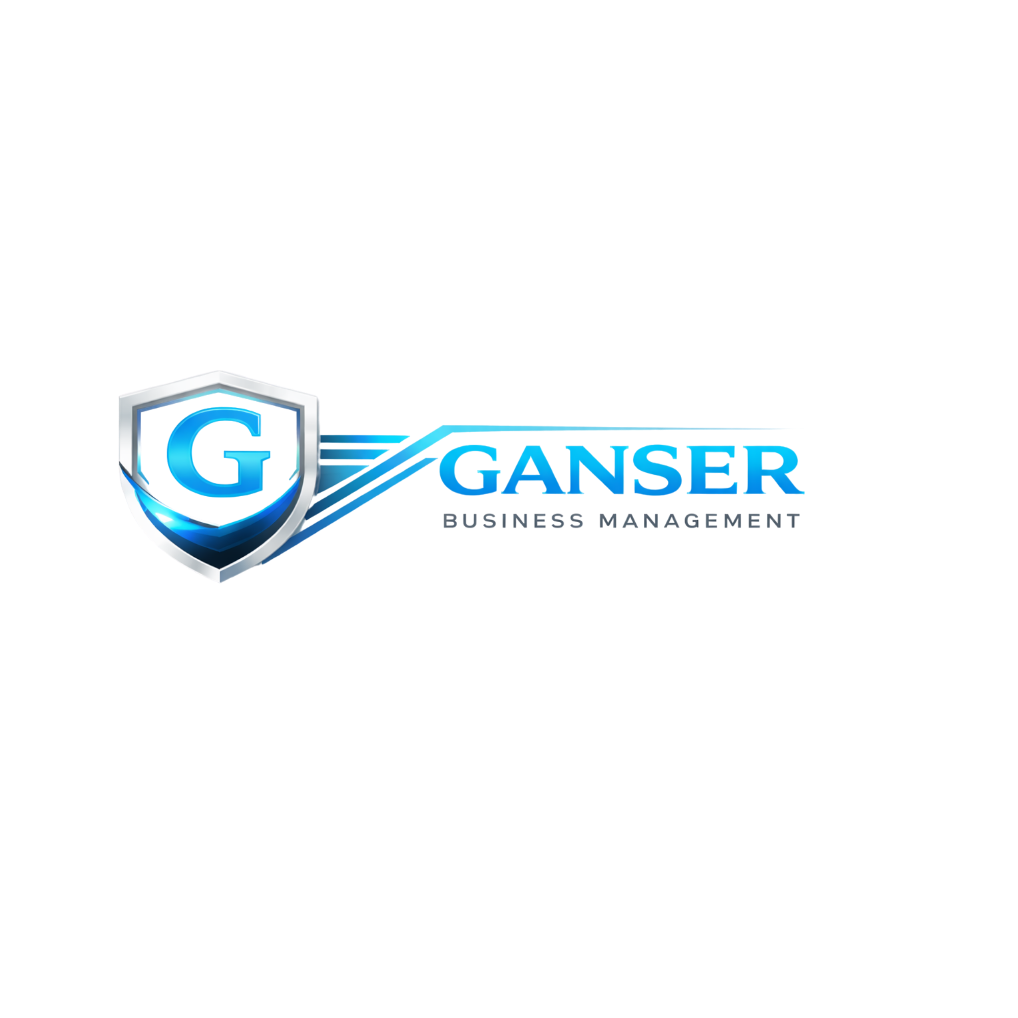 ganserbusinessmanagement.com