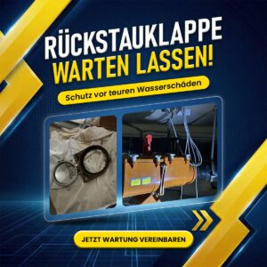 WhatsApp Image 2026-02-13 at 17.05.19