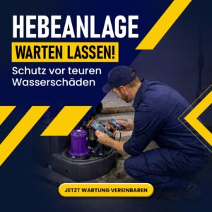 WhatsApp Image 2026-02-13 at 17.05.23