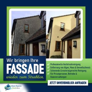 WhatsApp Image 2026-02-15 at 22.07.55